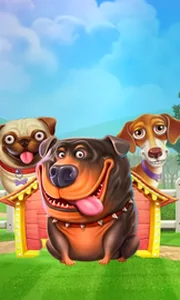 The Dog House